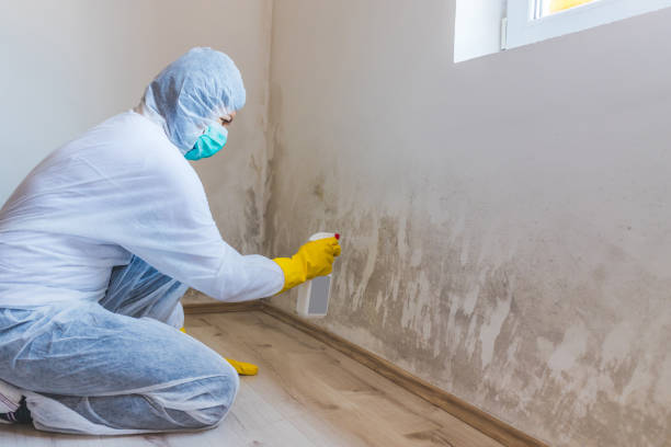 Crawl Space Mold Remediation treatment of floor joists in Hampton